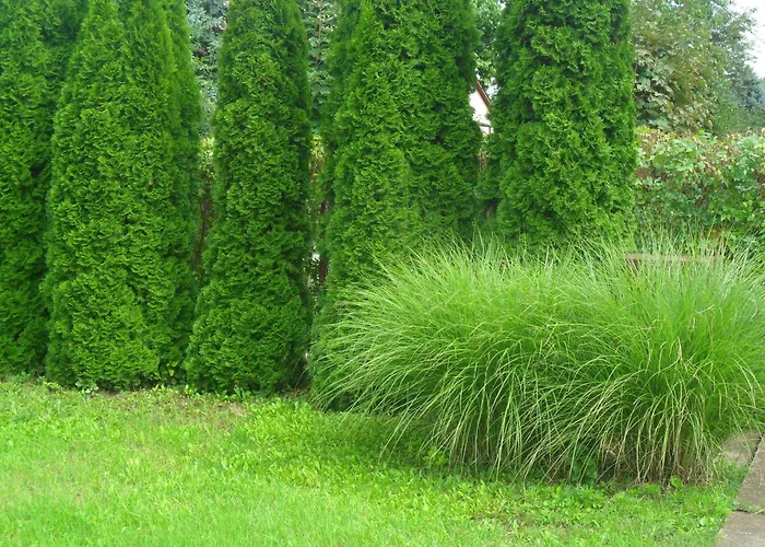 Vendégház Emese Hajdúszoboszló